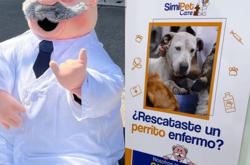 Consulta gratis a perritos rescatados