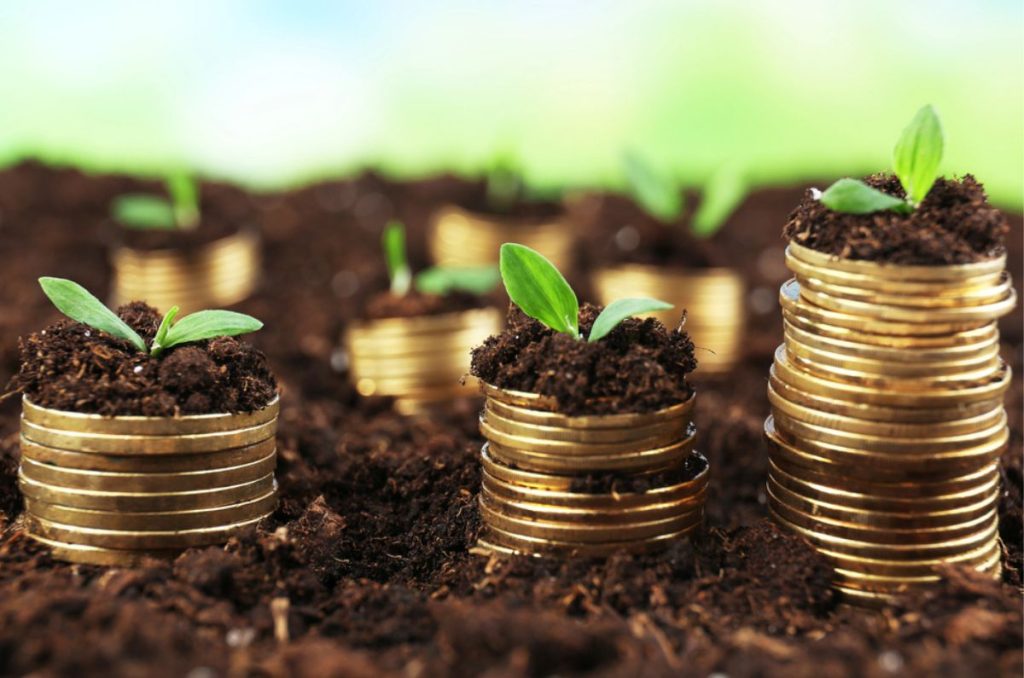 Cuentas de ahorro para el fondo de emergencia