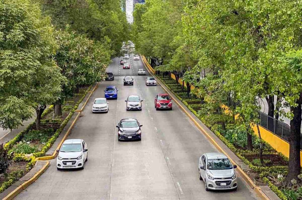 Hoy No Circula en domingo