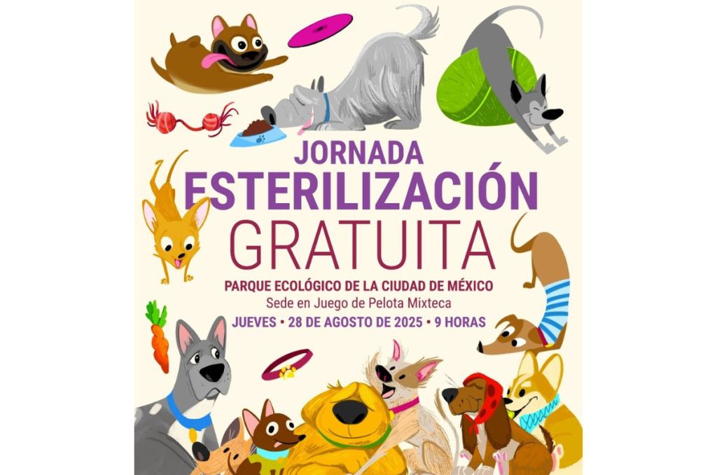 CDMX tendra jornada gratis de esterilizacion