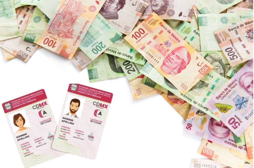 Licencia permanente descuento