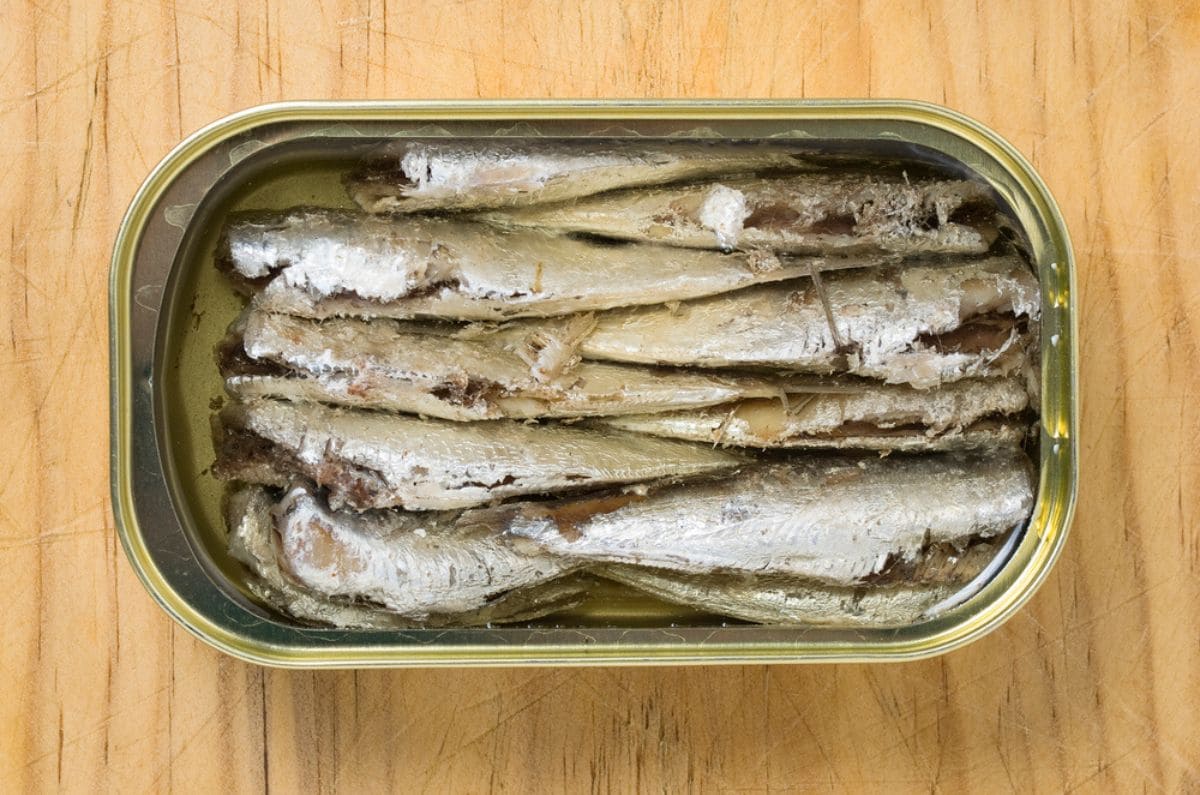 ¿Una sardina para comer? Profeco revela cuáles son las marcas más baratas y cuáles las más caras