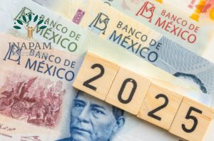 ¿INAPAM dará aguinaldo a adultos mayores en 2025? Solo estas personas lo recibirán