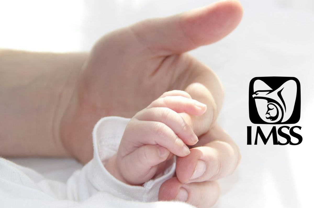 ¿Aún no los registras? Guía paso a paso para registrar a tus hijos como beneficiarios IMSS