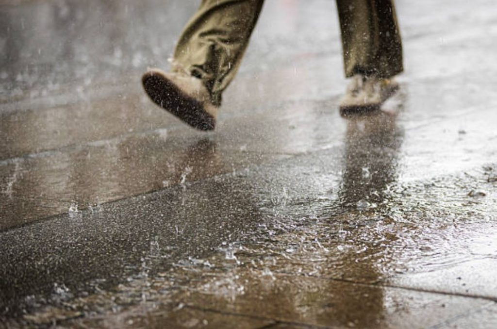 Si fuiste afectado por las lluvias en Veracruz, Puebla o Hidalgo, puedes solicitar el Paquete de Internet CFE gratis. Te contamos qué incluye y en qué municipios lo están entregando.