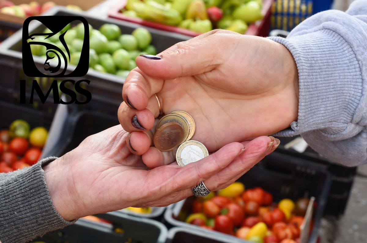 No solo el INAPAM: Pensionados del IMSS pueden recibir descuentos de hasta el 50% ¿dónde aplican?