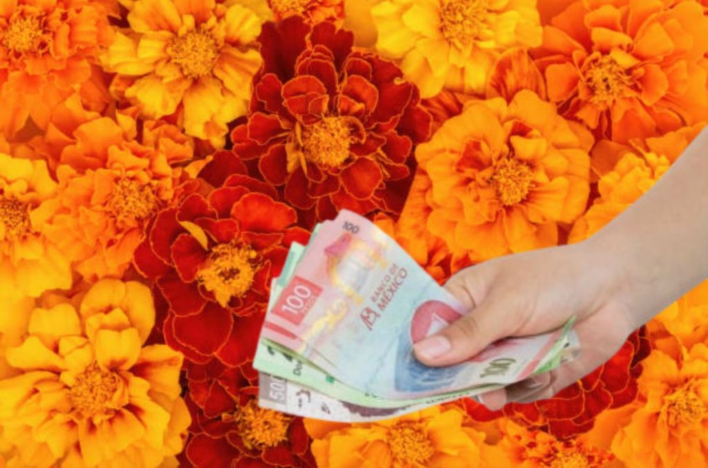 Solicitar un crédito de nómina en Día de Muertos parece inofensivo, pero hacerlo justo en un día inhábil bancario podría complicarte más de lo que imaginas. Aquí te explicamos por qué deberías evitarlo, qué opciones sí funcionan y cómo no caer en errores comunes.