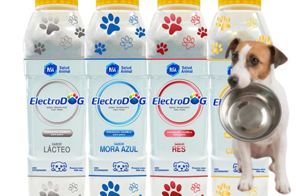 Electrodog es una bebida rehidratante para perros que ayuda a recuperar líquidos tras ejercicio, calor o actividad intensa. Aquí te decimos cómo usarla, sus sabores y precios.