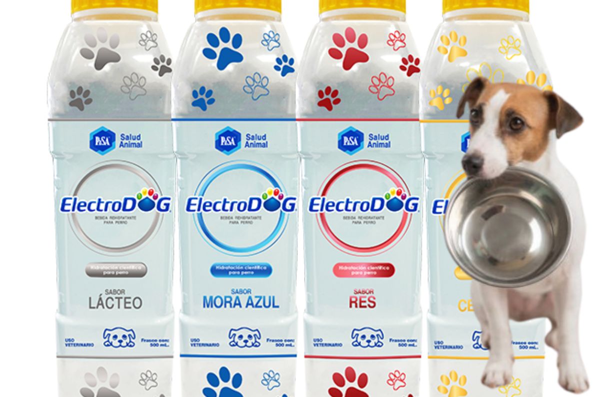 Electrodog: ¿Qué tan buenos son los electrolitos para perros de Electrolit y cuánto cuestan?