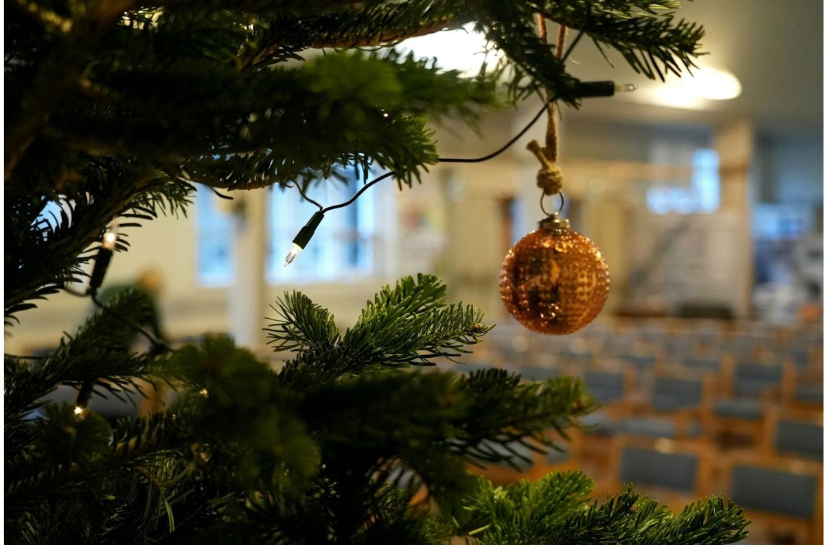 ¡Navidad sin clases! SEP confirma cuándo inician las vacaciones de diciembre 2025