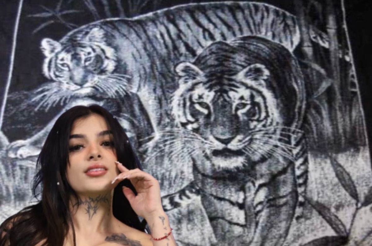 De Karely Ruiz y de tigre: la calle de CDMX donde encontrarás cobijas baratas para el frío