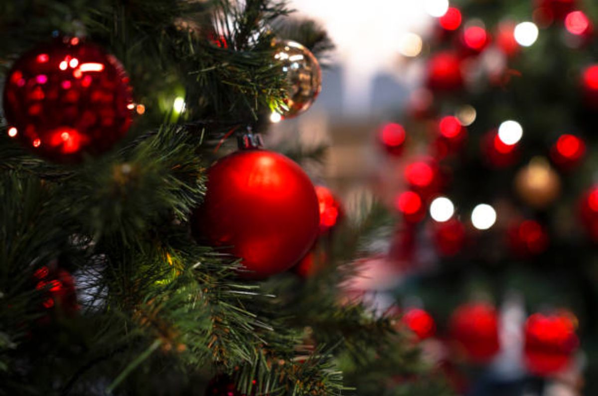 ¿Cuál es el precio normal de un árbol de Navidad en México este 2025?