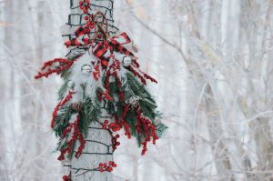 ¿Navidad con lluvias y heladas? Así estará el clima en CDMX durante Nochebuena y Navidad