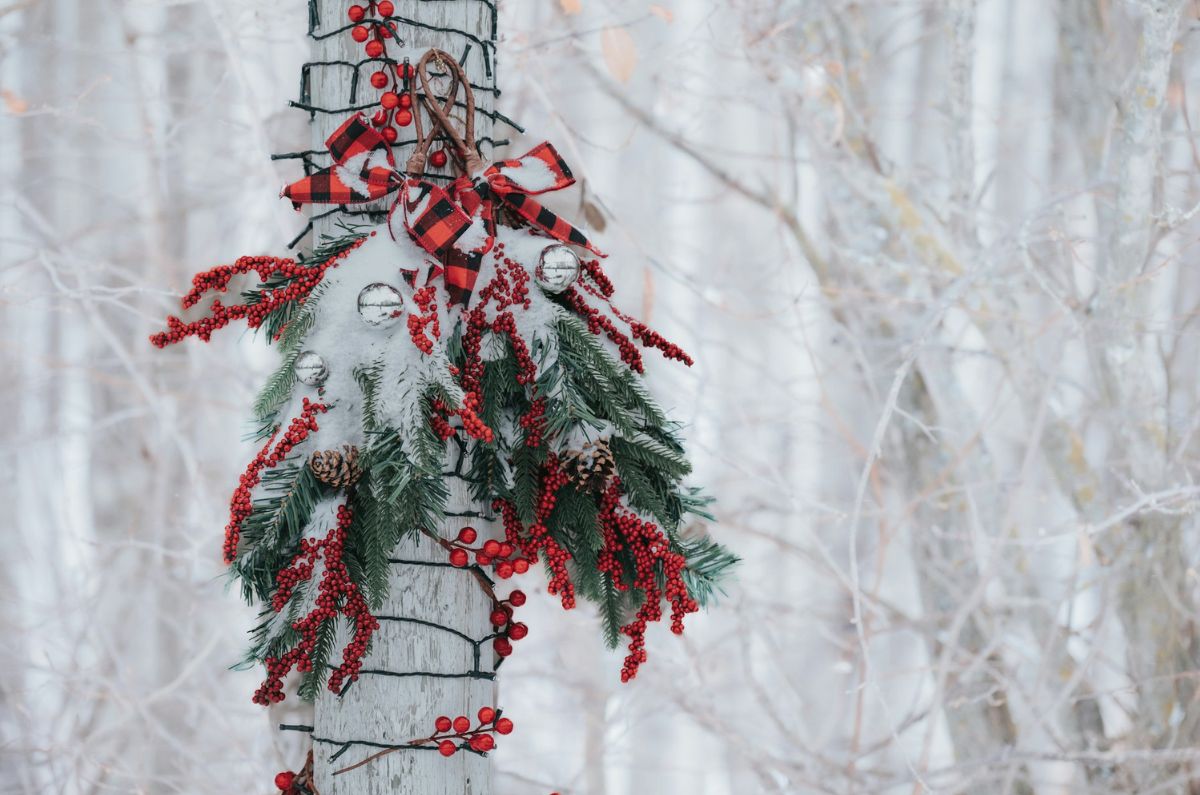 ¿Navidad con lluvias y heladas? Así estará el clima en CDMX durante Nochebuena y Navidad