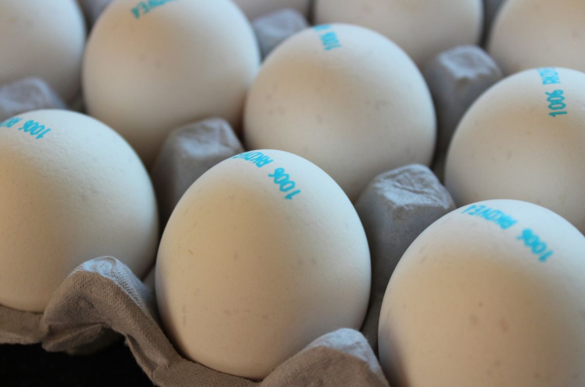 Baja el precio del huevo: Profeco revela cuáles son los supermercados con los precios más bajos