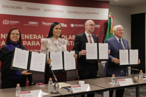 Ariadna Montiel Reyes confirma: causas OFICIALES de retención en la Pensión para Discapacidad