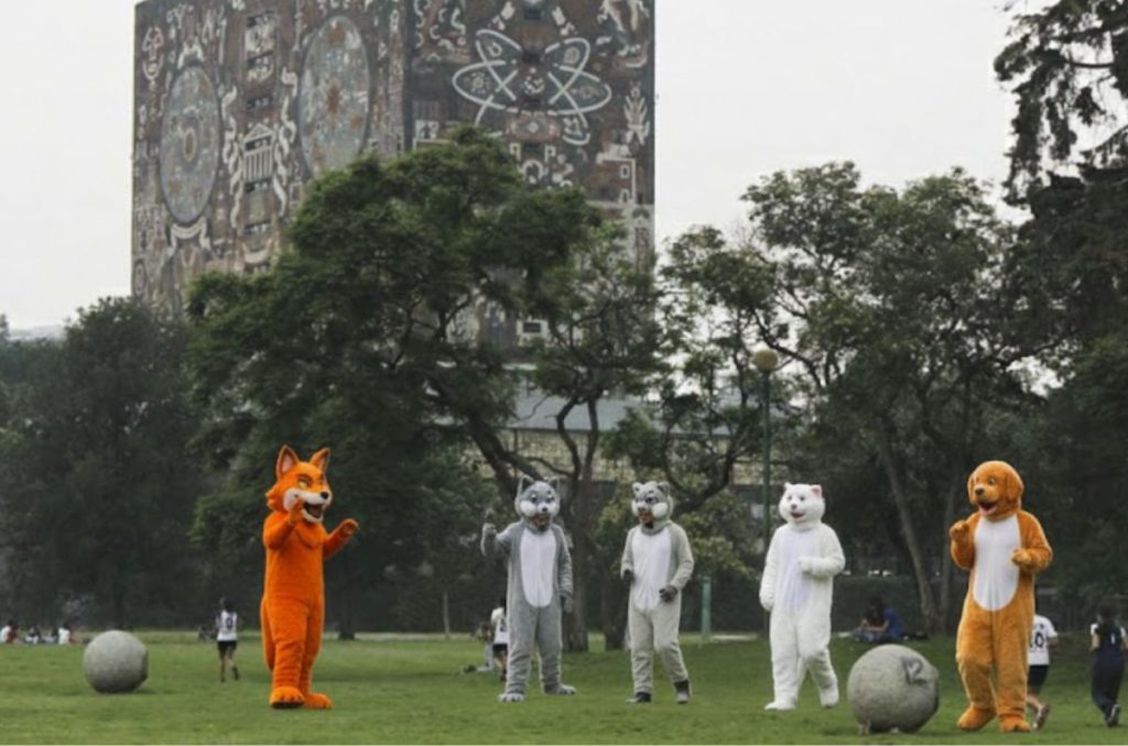 La primera convivencia de therians en Ciudad Universitaria ya tiene fecha y punto de reunión. Esto se sabe sobre el evento convocado en la UNAM.