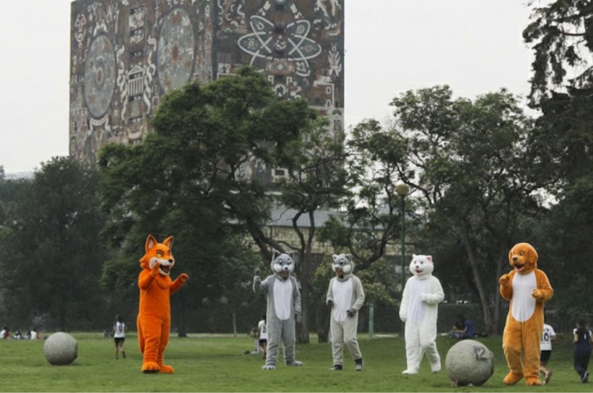UNAM confirma reunión de therians en Ciudad Universitaria: cuándo y dónde